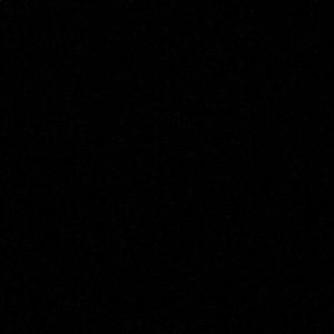 Meet your Posher, Rory